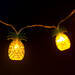 LED fényfüzér - ananász - 1,65 m - 10 LED - melegfehér - 2 x AA - 58219B