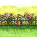 Virágágyás szegély / kerítés - 11476B