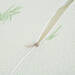 Poliészter-bambusz memóriahabos párna - 50 x 30 x 10 cm - BW2007