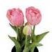 Élethű cserepes tulipán / Művirág / Műnövény