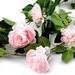 Mű virág girland rózsa / Művirág füzér / Dekoráció