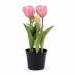 Élethű cserepes tulipán / Művirág / Műnövény