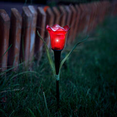 LED-es szolár tulipánlámpa - sárga / piros / rózsaszín - 31 cm - 12 db / kínáló - 11750