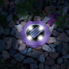 LED-es leszúrható szolár lámpa - lila - hidegfehér - 11,5 x 2,3 cm - 11767C