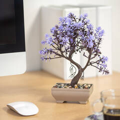 Műnövény dekoráció - bonsai - 18 x 24 cm - 4 féle - 11834