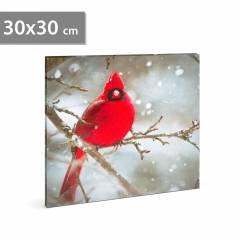 LED-es fali kép - vörös pinty - 30 x 30 cm - 58478