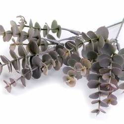 Mű eukaliptusz dekoráláshoz / művirág díszítéshez